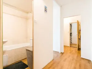 Prodej bytu 1+1, Brno, Horácké náměstí, 45 m2