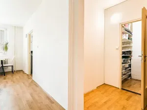 Prodej bytu 1+1, Brno, Horácké náměstí, 45 m2