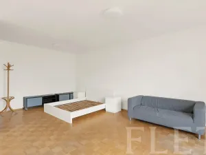 Pronájem bytu 1+kk, Praha - Žižkov, Dalimilova, 50 m2