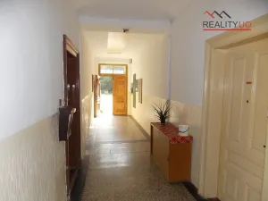 Prodej bytu 4+1, Záchlumí - Litice nad Orlicí, 136 m2