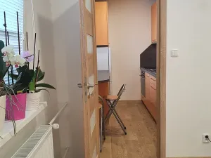 Pronájem bytu 1+1, Liberec, Borový vrch, 39 m2