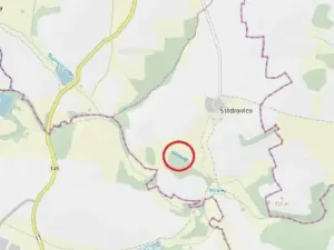Prodej lesa, Čáslavsko, 2306 m2