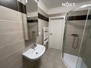 Pronájem bytu 1+kk, Plzeň, Plovární, 27 m2
