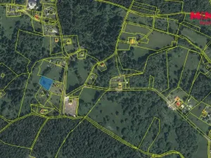 Prodej louky, Nejdek - Bernov, 1479 m2