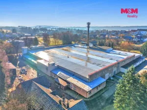 Prodej výrobních prostor, Miletín, Lhotova, 22000 m2
