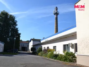 Prodej výrobních prostor, Miletín, Lhotova, 22000 m2
