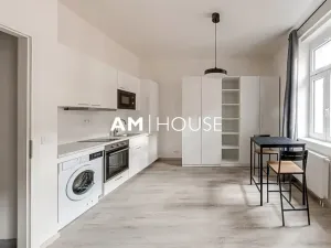Pronájem bytu 1+kk, Praha - Karlín, Urxova, 30 m2
