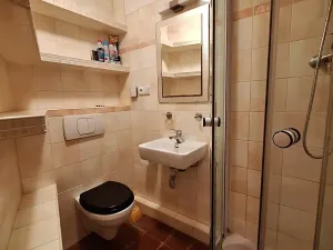 Pronájem bytu 1+kk, Praha - Žižkov, Ondříčkova, 18 m2
