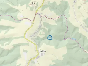 Prodej louky, Strážná, 2049 m2