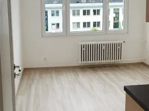 Prodej bytu 1+1, Milevsko, J. A. Komenského, 38 m2