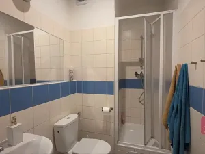 Prodej bytu 1+1, Brno, Cejl, 33 m2
