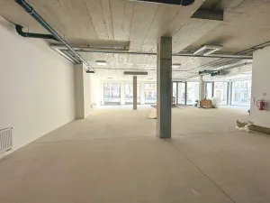Pronájem obchodního prostoru, Praha - Žižkov, Husitská, 246 m2