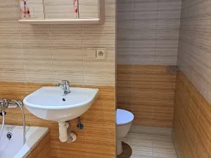 Pronájem bytu 1+kk, Hradec Králové, třída Edvarda Beneše, 30 m2