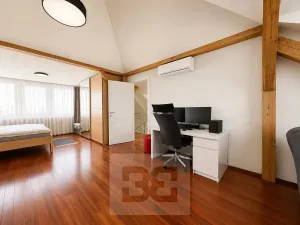 Pronájem vily, Brno, Březinova, 362 m2