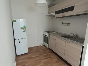 Prodej bytu 1+kk, Duchcov, V Domkách, 34 m2