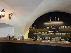Pronájem restaurace, Železná Ruda, Klostermannovo náměstí, 120 m2