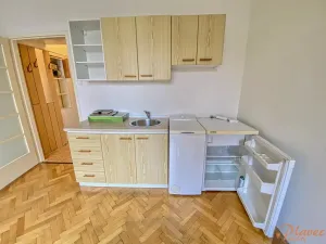 Pronájem bytu 1+kk, Praha - Nusle, Na Vítězné pláni, 23 m2