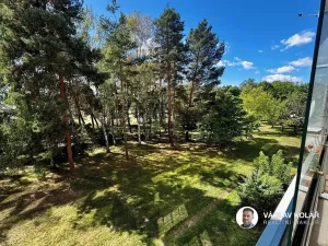 Prodej bytu 3+1, Hradec Králové, Čajkovského, 73 m2