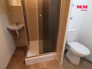 Prodej bytu 1+kk, Most, Česká, 33 m2