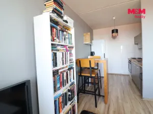 Prodej bytu 1+kk, Most, Česká, 33 m2