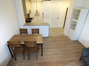 Pronájem bytu 2+kk, Praha - Karlín, Pobřežní, 58 m2
