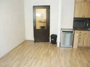 Pronájem bytu 3+kk, Plzeň, Studentská, 75 m2