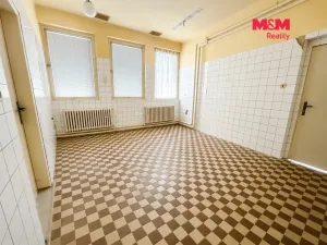 Pronájem skladu, Louny, Poděbradova, 235 m2