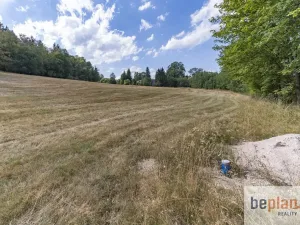 Prodej pozemku pro bydlení, Merklín, 1128 m2