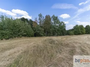 Prodej pozemku pro bydlení, Merklín, 1032 m2