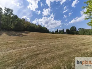 Prodej pozemku pro bydlení, Merklín, 1032 m2