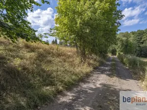Prodej pozemku pro bydlení, Merklín, 1032 m2
