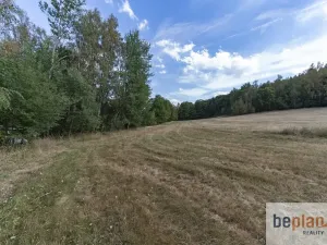 Prodej pozemku pro bydlení, Merklín, 1038 m2
