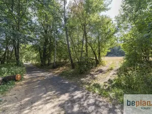Prodej pozemku pro bydlení, Merklín, 1038 m2