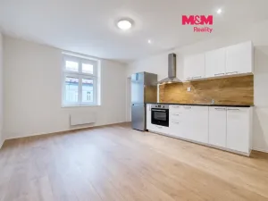 Prodej bytu 2+kk, Plzeň - Doubravka, Masarykova, 45 m2