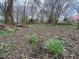 Prodej pozemku, Chotěboř - Počátky, 463 m2