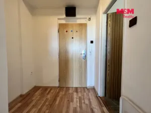Prodej bytu 1+kk, Karviná - Mizerov, Borovského, 23 m2
