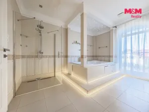 Prodej obchodního prostoru, Šestajovice, U Váhy, 356 m2