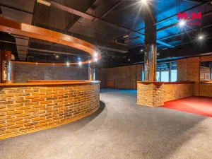 Prodej obchodního prostoru, Praha, Trnkovo náměstí, 324 m2