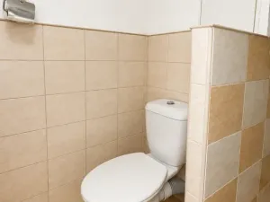 Prodej bytu 2+1, Bílina - Pražské Předměstí, Aléská, 48 m2