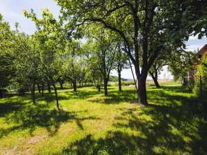 Prodej rodinného domu, Loučka, 130 m2