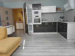 Prodej bytu 2+kk, Teplice, Bohosudovská, 47 m2