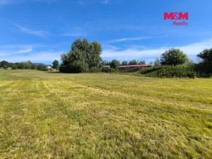 Prodej pozemku pro bydlení, Volary, Finské domky, 8083 m2