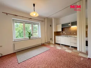 Prodej bytu 1+kk, Krnov - Pod Bezručovým vrchem, Březinova, 40 m2