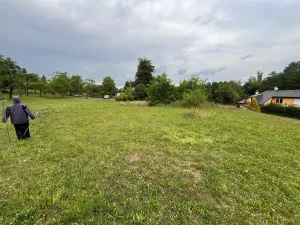 Prodej pozemku pro bydlení, Jahodov, 6845 m2