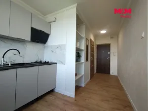 Prodej bytu 1+1, Bílina - Pražské Předměstí, Fügnerova, 34 m2