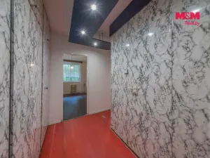Prodej bytu 2+kk, Havířov - Podlesí, 17. listopadu, 40 m2