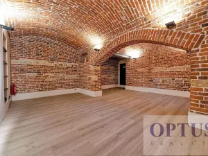 Pronájem bytu 5+kk, Praha - Staré Město, Dušní, 172 m2