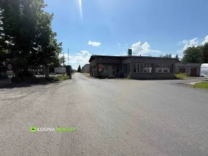 Pronájem výrobních prostor, Březová, 254 m2