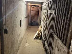 Prodej bytu 2+kk, Praha - Žižkov, Buchovcova, 55 m2