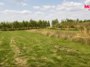 Prodej zahrady, Velké Popovice, Masarykova, 800 m2